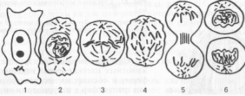 080129zc-2e59-355x140.png