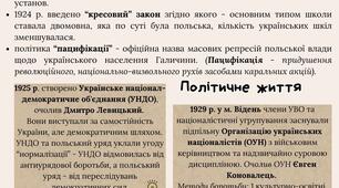 Інфографіка "Українські землі у складі Польщі у міжвоєнний період"