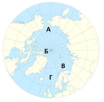 08012i65-11fd-343x338.jpg