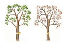 08012k3j-0646-223x145.png