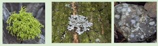08012kbg-d978-316x92.png