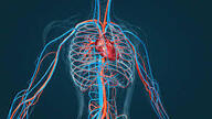 08012mpc-75d0-300x168.jpg