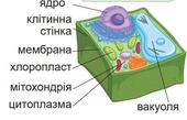 08012mvo-832b-392x253.jpg