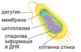 08012mvr-8130-376x245.jpg