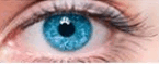 08012o81-4f65-163x66.png
