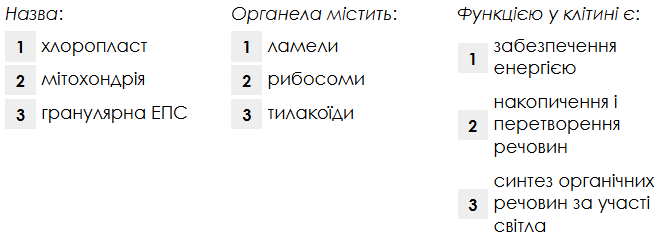 08012p3k-b196-670x241.png