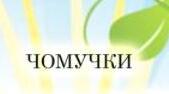 Пісня "ЧОМУЧКИ"