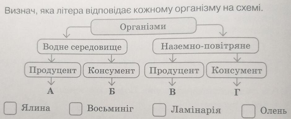 08012pwy-0bc8-940x386.jpg