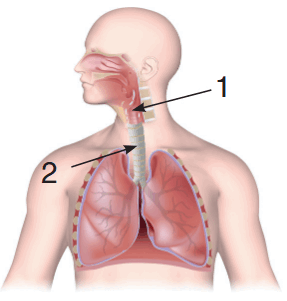 08012qmo-cd9d-287x301.png