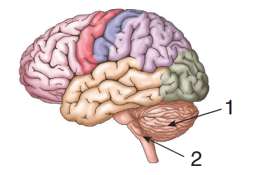 08012qmz-2707-392x251.png