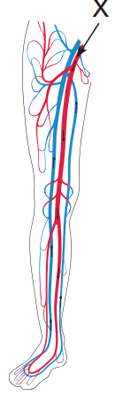08012qos-fede-130x447.png