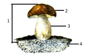 08012qsz-0ed8-292x182.png