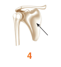 08012qx5-b80c-202x220.png