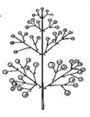 08012qx8-c768-130x169.png