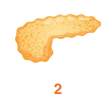 08012qx9-751e-221x216.png