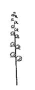 08012qxg-13dc-71x178.png