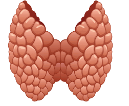 08012r2y-7ba6-252x207.png