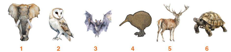 08012r3q-6e33-940x213.png