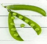 08012r71-fa53-153x144.png