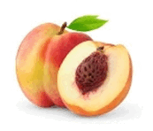 08012r78-053a-173x148.png