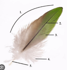 08012r8h-7c64-277x291.png