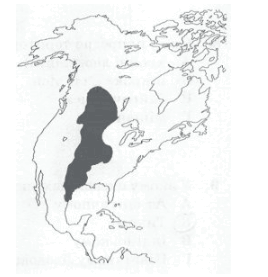 08012rrj-1e18-451x466.png