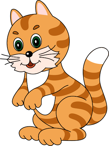 08012u9r-c25a-383x512.png