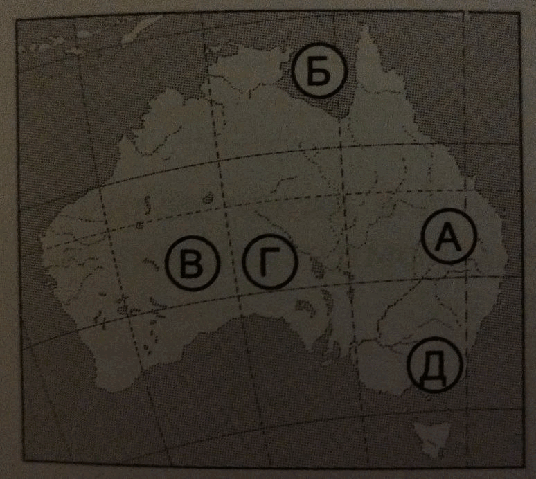 08012y35-2721-774x692.png