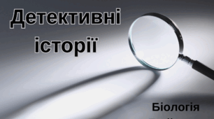 Детективні історії