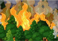 080136iz-734a-708x496.png