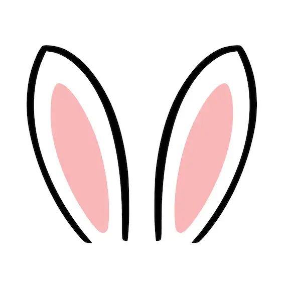 08013907-3327-570x570.webp