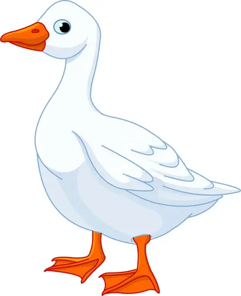 08013909-2e8d-489x600.webp