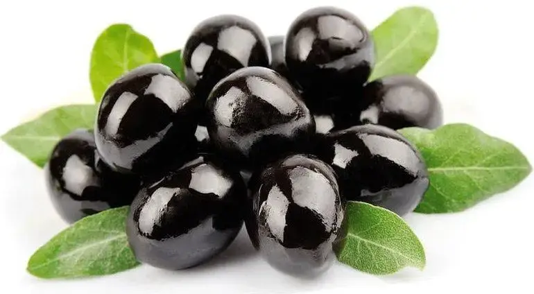 0801390o-8e57-770x424.webp