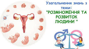 Узагальнення знань з теми «Розмноження та розвиток людини»