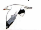 08013f3r-e717-133x99.png