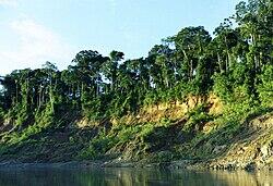 08013f57-ac81-250x171.jpg