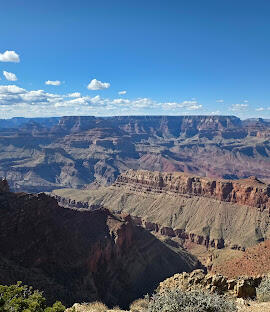 08013f58-9350-270x312.jpg
