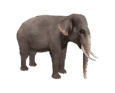 08013hxr-2f46-115x93.png