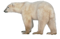 08013i9k-f142-199x130.png