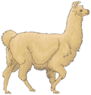 08013i9x-b70d-131x136.png