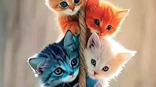 Збірка  задач про тварин для 1-4 класів 🐾