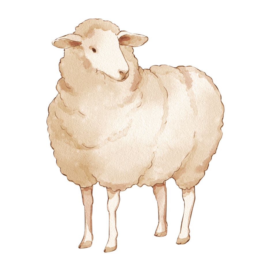 08013x9b-b8f5-940x940.png