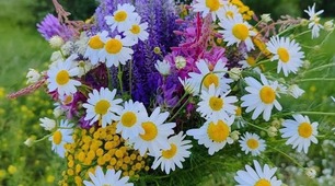 Людмила Медина. Я посилаю вам літо 