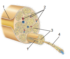 08013z8a-2281-240x202.png