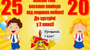 Обгортка на Свідоцтво досягнень (+Свідоцтва досягнень 1-2 та 3-4 класи) 2025 рік