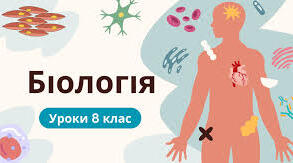 Конспекти Біологія 8 кл (до підручника П. Балана) Параграфи 54-63