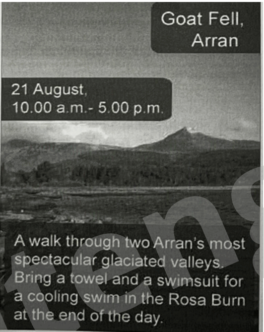 0801482r-59f7-532x669.png