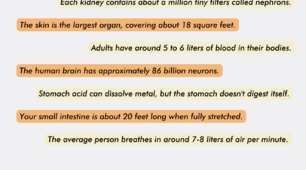 Anatomy Uncovered