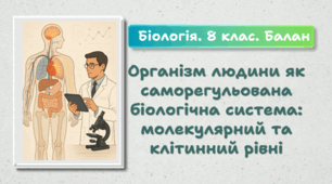 8 клас НУШ. Організм людини як саморегульована біологічна система: молекулярний та клітинний рівні