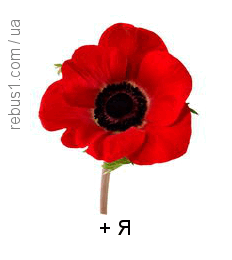 08014eek-116d-232x260.png